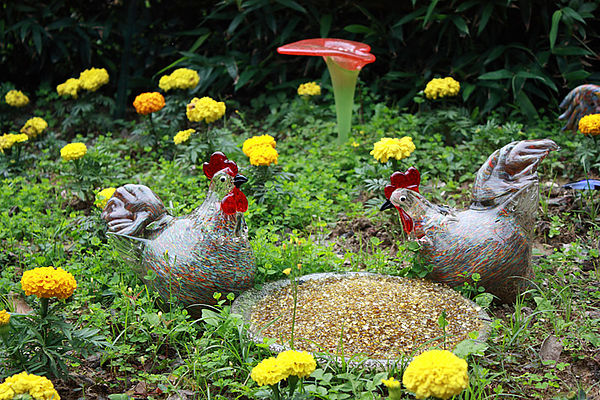 十八尖山：春遊賞花。新竹十八尖山&世博展覽館