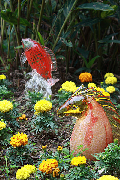 十八尖山：春遊賞花。新竹十八尖山&世博展覽館