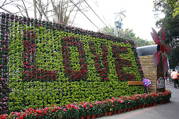 十八尖山：春遊賞花。新竹十八尖山&世博展覽館