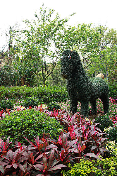 十八尖山：春遊賞花。新竹十八尖山&世博展覽館