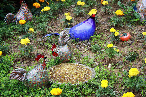 十八尖山：春遊賞花。新竹十八尖山&世博展覽館