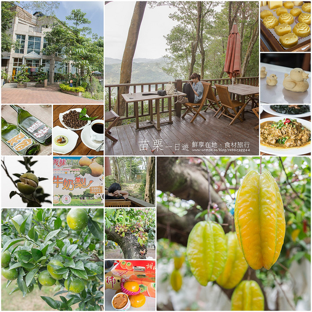 鮮享在地、食材旅行-苗栗一日遊