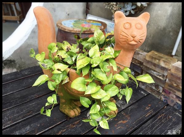 20151002-公館寶藏巖_4925