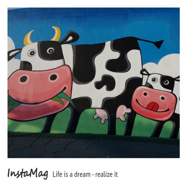 彰化-福寶生態教育園區：【彰化景點】乳牛新樂園彩繪~福寶濕地出海口彩繪牆