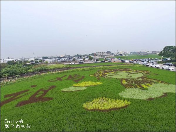 13101140_1181804041837952_878613485_n