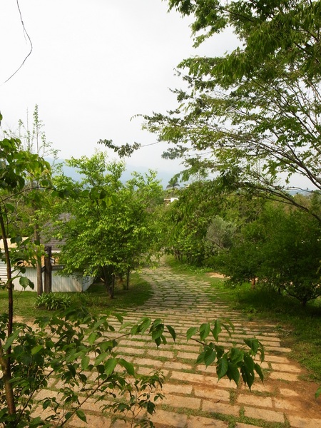 vilavilla魔法莊園休閒農場:【苗栗】釋放心中的浪漫精靈。進入魔法森林,尋找自己的夢遊仙境。