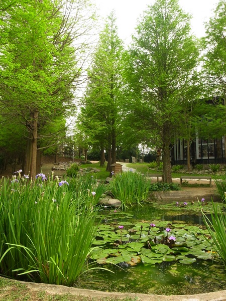 vilavilla魔法莊園休閒農場:【苗栗】釋放心中的浪漫精靈。進入魔法森林,尋找自己的夢遊仙境。