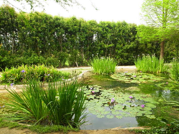 vilavilla魔法莊園休閒農場:【苗栗】釋放心中的浪漫精靈。進入魔法森林,尋找自己的夢遊仙境。