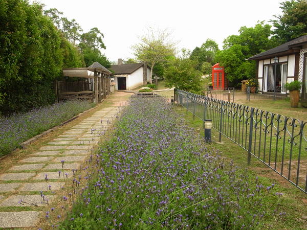 vilavilla魔法莊園休閒農場:【苗栗】釋放心中的浪漫精靈。進入魔法森林,尋找自己的夢遊仙境。