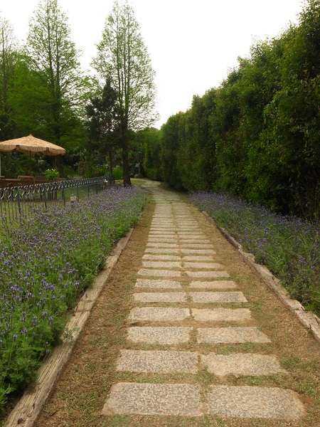 vilavilla魔法莊園休閒農場:【苗栗】釋放心中的浪漫精靈。進入魔法森林,尋找自己的夢遊仙境。