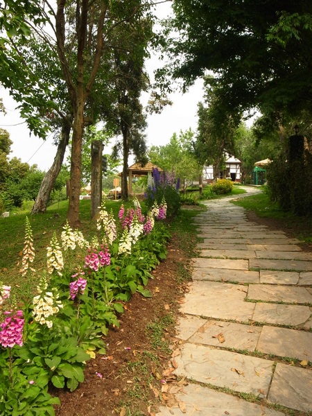 vilavilla魔法莊園休閒農場:【苗栗】釋放心中的浪漫精靈。進入魔法森林,尋找自己的夢遊仙境。