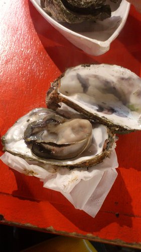 台南花園夜市:2012年12月台南自由行之花園夜市