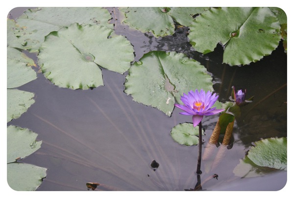 10206-葛莉絲莊園房間-24