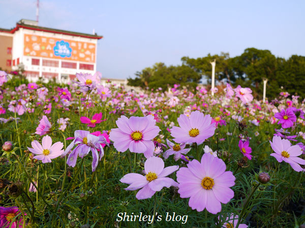 2014台北花卉展「花現魔法密碼」：2014台北花卉展‧花現魔法密碼