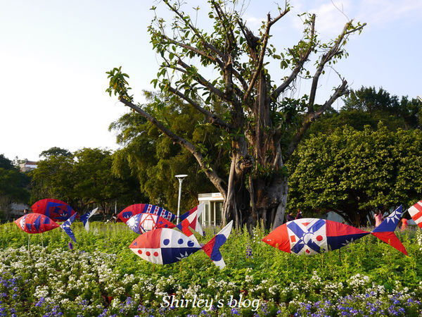 2014台北花卉展「花現魔法密碼」：2014台北花卉展‧花現魔法密碼