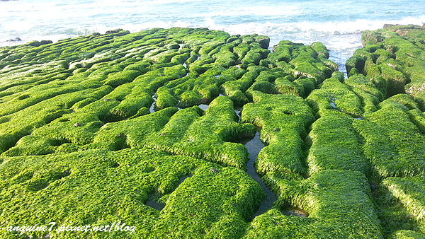 20130525_171455拷貝