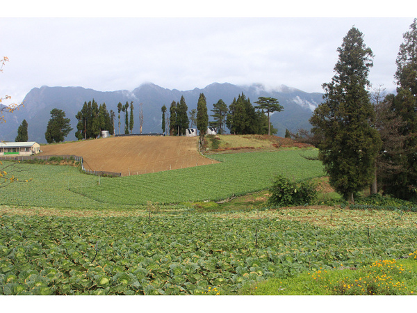 福壽山農場：【遊記】oO。台中（宜蘭）　福壽山農場　秋楓　今年楓紅提早囉～秋楓時況轉播！像極在日本拍秋楓，這裡是賞楓葉的好地方！。o○。
