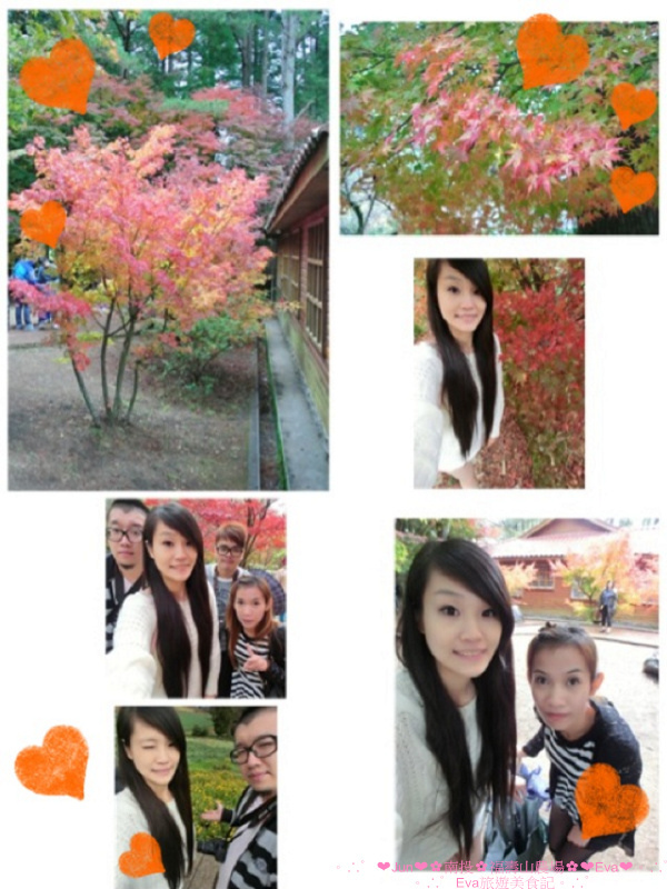 福壽山農場：【遊記】oO。台中（宜蘭）　福壽山農場　秋楓　今年楓紅提早囉～秋楓時況轉播！像極在日本拍秋楓，這裡是賞楓葉的好地方！。o○。