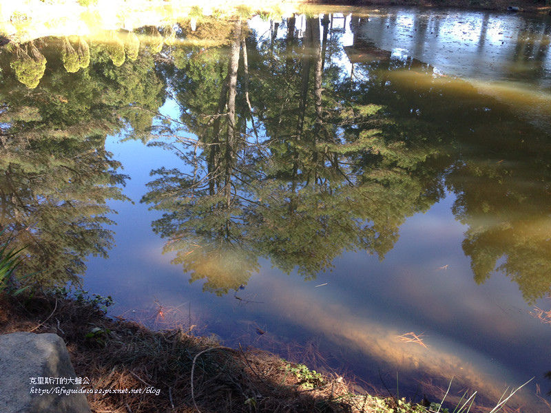 武陵&福壽山 1847_副本.jpg
