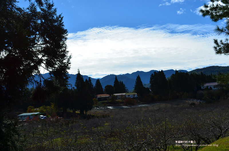 武陵&福壽山 965_副本.jpg