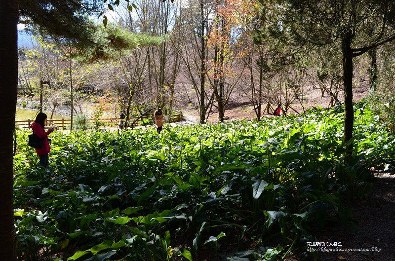 武陵&福壽山 1100_副本.jpg