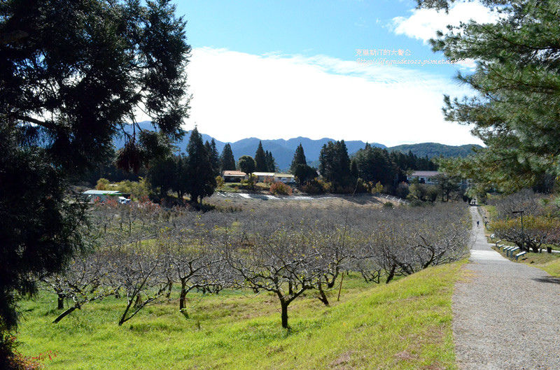 武陵&福壽山 970_副本.jpg