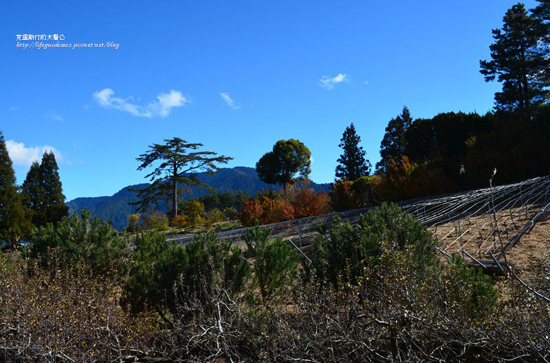 武陵&福壽山 945_副本.jpg