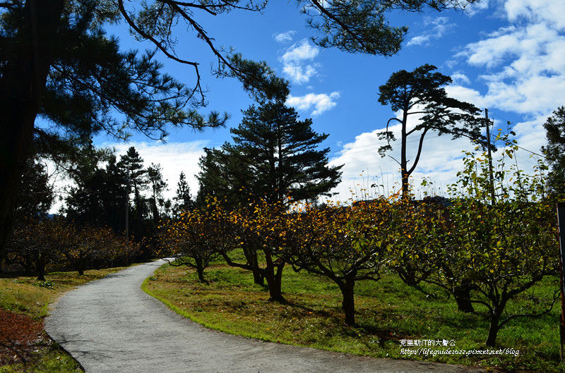 武陵&福壽山 988_副本.jpg