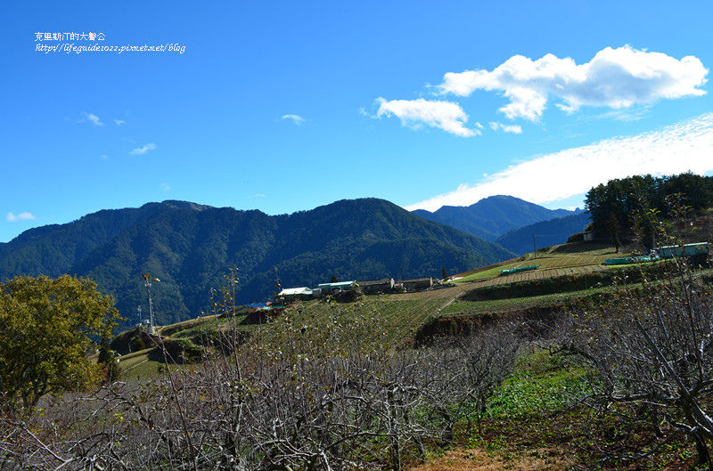 武陵&福壽山 976_副本.jpg