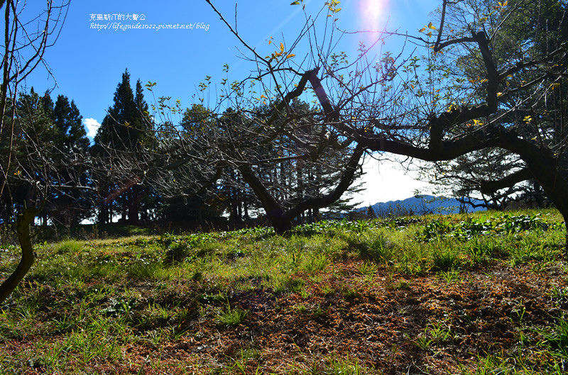武陵&福壽山 985_副本.jpg