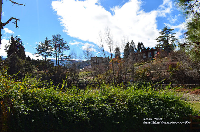 武陵&福壽山 1072_副本.jpg