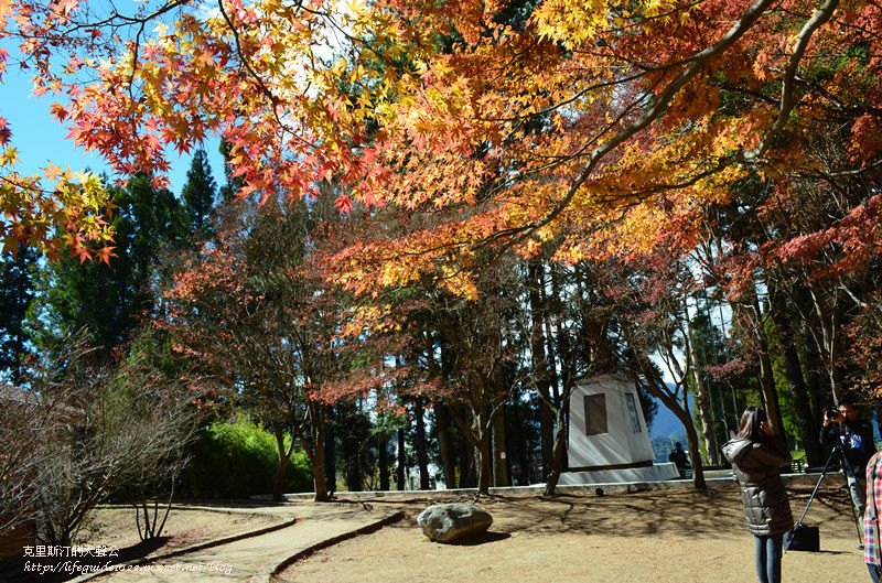 武陵&福壽山 1153_副本.jpg