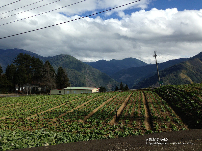 武陵&福壽山 2036_副本.jpg