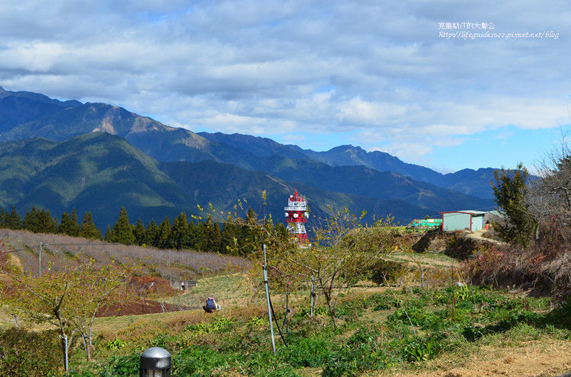 武陵&福壽山 1026_副本.jpg