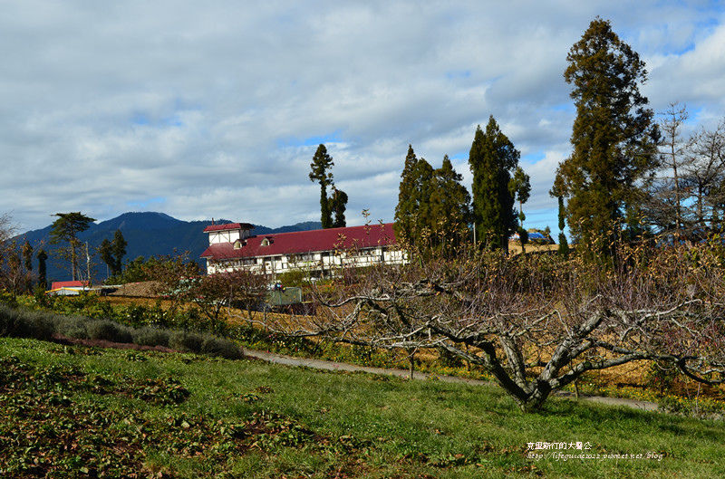 武陵&福壽山 939_副本.jpg