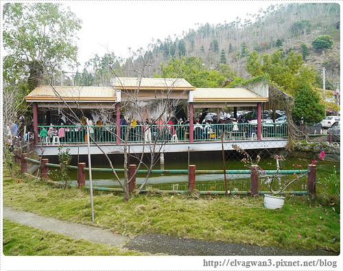 台南-楠西-梅嶺-香蕉山-冬季賞梅-梅花-梅子雞-伍龍步道-大眾餐飲-7-122-1