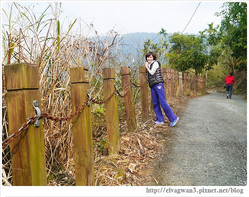 台南-楠西-梅嶺-香蕉山-冬季賞梅-梅花-梅子雞-伍龍步道-大眾餐飲-81-414-1
