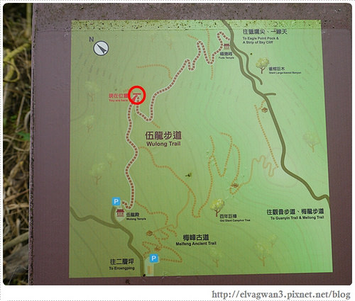 台南-楠西-梅嶺-香蕉山-冬季賞梅-梅花-梅子雞-伍龍步道-大眾餐飲-82-417-1