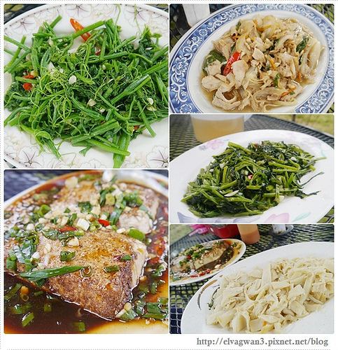 台南-楠西-梅嶺-香蕉山-冬季賞梅-梅花-梅子雞-伍龍步道-大眾餐飲-24