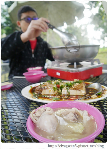 台南-楠西-梅嶺-香蕉山-冬季賞梅-梅花-梅子雞-伍龍步道-大眾餐飲-22-174-1