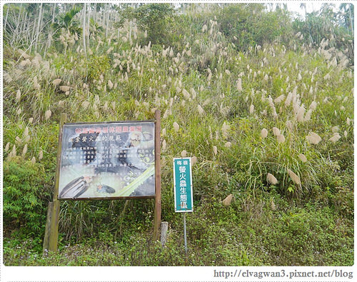 台南-楠西-梅嶺-香蕉山-冬季賞梅-梅花-梅子雞-伍龍步道-大眾餐飲-102-477-1