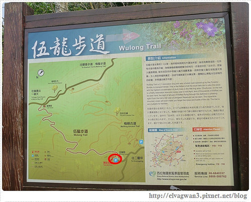 台南-楠西-梅嶺-香蕉山-冬季賞梅-梅花-梅子雞-伍龍步道-大眾餐飲-45-285-1