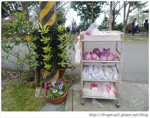 台南-楠西-梅嶺-香蕉山-冬季賞梅-梅花-梅子雞-伍龍步道-大眾餐飲-18-130-1