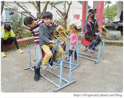 台南-楠西-梅嶺-香蕉山-冬季賞梅-梅花-梅子雞-伍龍步道-大眾餐飲-39-493-1
