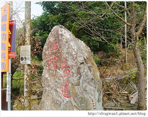 台南-楠西-梅嶺-香蕉山-冬季賞梅-梅花-梅子雞-伍龍步道-大眾餐飲-46-292-1