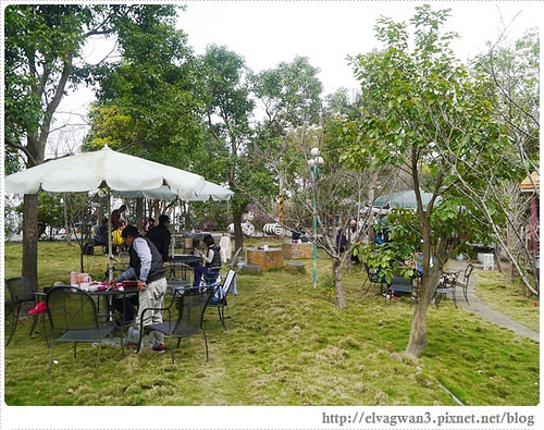 台南-楠西-梅嶺-香蕉山-冬季賞梅-梅花-梅子雞-伍龍步道-大眾餐飲-8-124-1