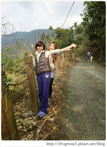 台南-楠西-梅嶺-香蕉山-冬季賞梅-梅花-梅子雞-伍龍步道-大眾餐飲-80-14924-1