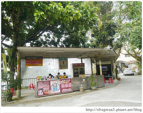 台南-楠西-梅嶺-香蕉山-冬季賞梅-梅花-梅子雞-伍龍步道-大眾餐飲-64-344-1