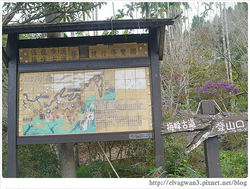 台南-楠西-梅嶺-香蕉山-冬季賞梅-梅花-梅子雞-伍龍步道-大眾餐飲-2-116-1