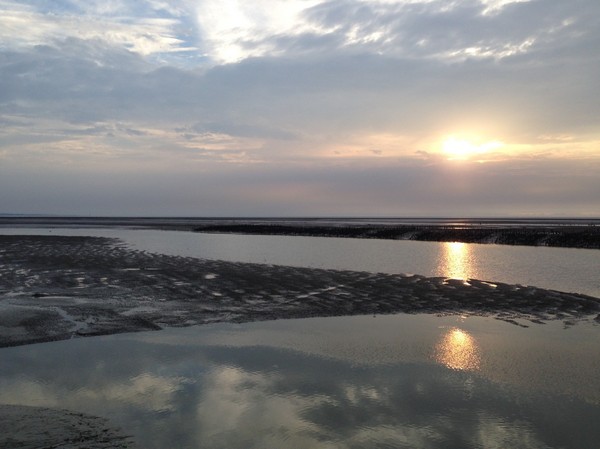 青青草原:新竹-青青草原